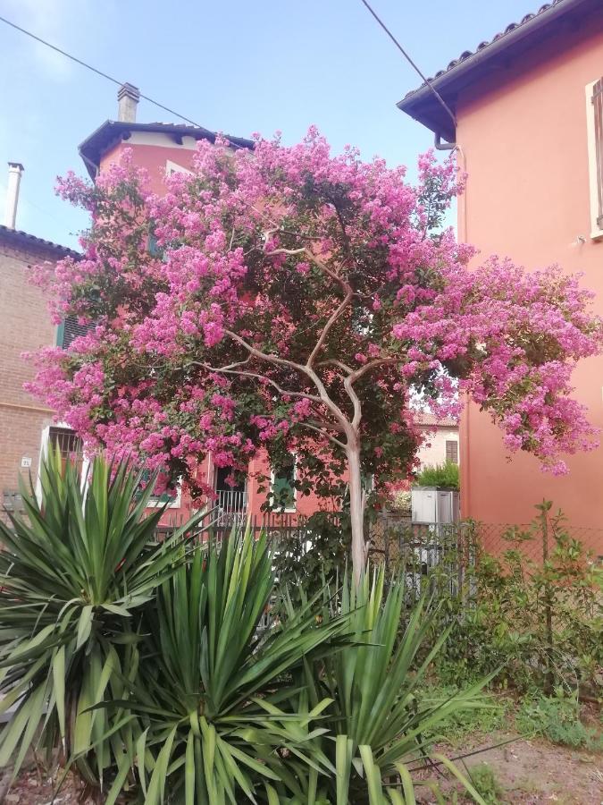 Grigio Perla Panigale, Villetta Con Giardino E Parcheggio Privato Fino A Tre Posti Auto - Un Oasi Di Tranqullita Болонья Экстерьер фото